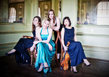 String Quartet/Trio
