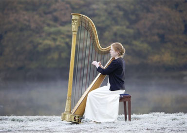 Performer