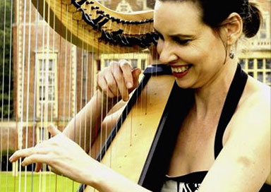 Celtic Harpist