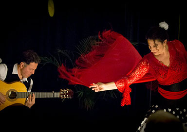 Performer