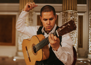 Flamenco Guitarist