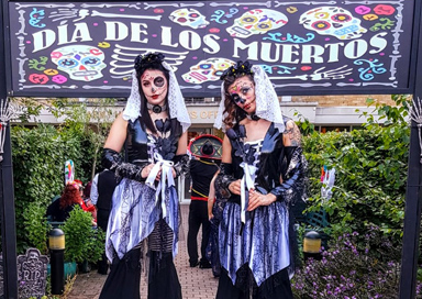 Day of the Dead Themed Dancers