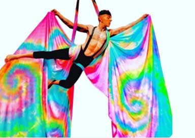 The Birmingham Aerial Performer Image of the The Birmingham Aerial Performer
