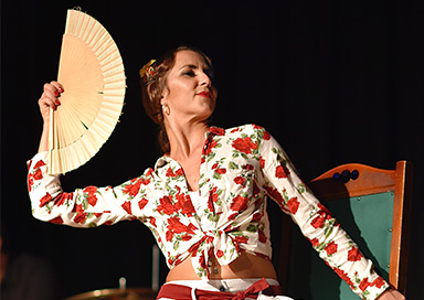 Flamenco Dancer & Group