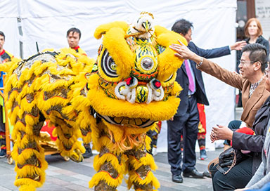 Chinese Lion Dance Group