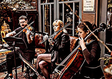 String Quartet, Trio and Duo