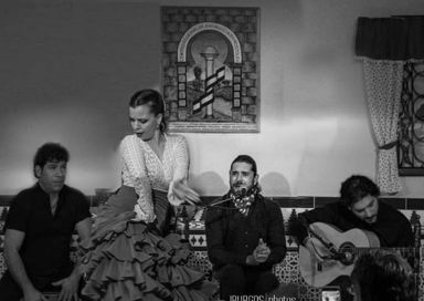 Flamenco Show