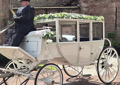 Horse Drawn Wedding Carriages