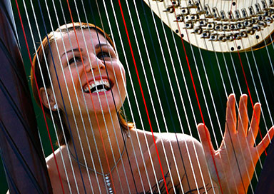 Wedding Harpist