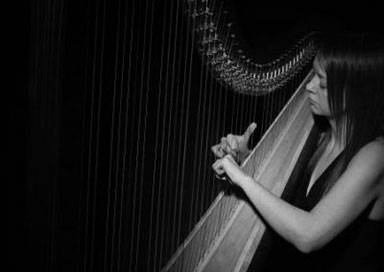 Harpist