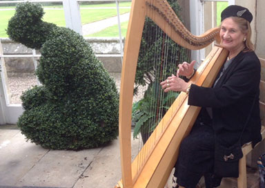 Harpist