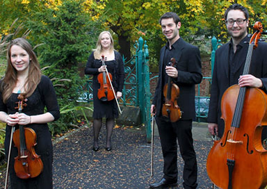 String Quartet, Trio & Duo