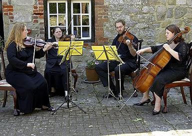 String Quartet & Trio