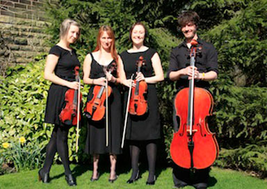String Quartet, Trio & Duo