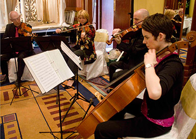 String Quartet & Trio