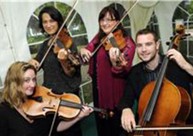 String Quartet & Trio