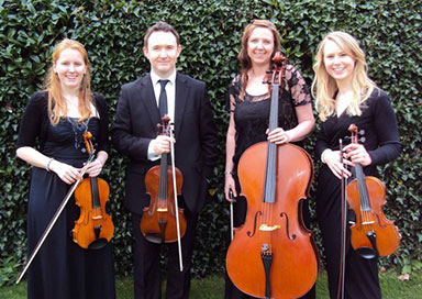 String Quartet & Trio